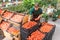 Gardener selling tomatoes and vegetables