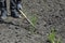 Gardener shaping soil in garden on sunny day, closeup