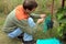 Gardener sits and covers blue grape bunches in protective bags t