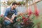 Gardener with smartphone in hand looking at flowers in greenhouse