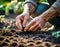 Gardener sowing seeds, gardener hands working soil, plants, IA