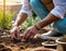 Gardener sowing seeds, gardener hands working soil, plants, IA