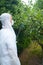 Gardener spraying fruit trees