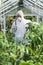 Gardener spraying plants in greenhouse