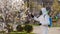 Gardener sprays insecticides in protective hazmat suit. Farmer in gas mask spraying blooming trees with toxic pesticide