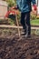 Gardener takes a break after digging the whole garden. Manual work in agriculture in autumn. Old clothes and a spade and rubber