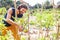 Gardener taking care of vegetable plants