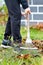 The gardener tends the green lawn by raking the fallen leaves in the garden with a metal rake