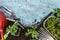 Gardener tools on the old blue painted wood table