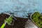 Gardener tools on the old blue painted wood table