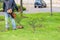 A gardener with a trimmer walks in the garden between the trees and carefully mows the growing grass on a spring day