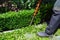 Gardener trimming plants in a garden with a trimmer