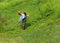 A gardener trims the grass in a downhill field with a weed eater. He wears all the prescribed safety clothes and accessories