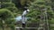 A gardener trims trees in a park in Tokyo Japan