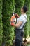 Gardener in uniform using electric trimmer for shaping hedge