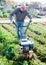Gardener using plow at land with green grass in greenhouse