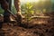 Gardener using spade while preparing place for planting young tree