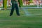 A gardener is watering the lawn at a tropical resort. Man watering green lawn, sprinkling water on the grass with water