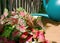 A gardener waters a pot of caladium plants