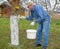 Gardener whitens the trunk of an apple tree at the dacha. Spring garden work