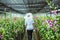 Gardener woman asian. Cutting orchid in an orchid garden