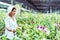 Gardener woman asian. Cutting orchid in an orchid garden