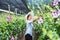 Gardener woman asian. Cutting orchid in an orchid garden