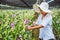 Gardener woman asian. Cutting orchid in an orchid garden