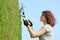 Gardener woman pruning a cypress with pruning shears