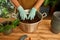 Gardener work in home garden with earth