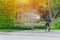 Gardener worker spray watering tree and plant