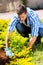 Gardener working in garden