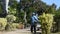 Gardener working and gardening use machine cutting grass at garden park