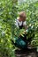 Gardener working in greenhouse