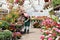 Gardener works in a greenhouse in a flower shop