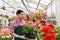 Gardener works in a greenhouse in a flower shop