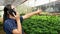 Gardener young woman talking on phone about work while orders the employee to work in greenhouse.