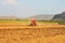 Gardeners are driving the tractor to cultivate the soil. Pelicans looking for food