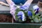 Gardeners hands planting flowers in pot with dirt or soil in container on terrace balcony garden. Gardening concept