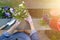 Gardeners hands planting flowers in pot with dirt or soil in container on terrace balcony garden. Gardening concept