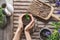 gardeners hands transplanting small citrus plant in plastic pots on wooden table. Concept of home garden. Spring time. Taking