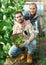 Gardeners harvesting broad beans