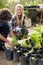 Gardeners inspecting potted plants