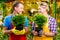 Gardeners with seedlings in their hands look at each other