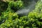 Gardeners spray insecticides.Farmer.