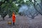 Gardeners spray pesticides And fertilizer In the orchard With high pressure pump