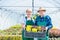 Gardeners standing in a greenhouse.