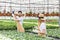 Gardeners wearing protective gloves and planting flowers