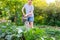 Gardening agriculture concept. Woman gardener farm worker holding watering can and watering irrigating plant. Girl