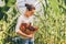 Gardening and agriculture concept. Young woman farm worker with basket picking fresh ripe organic tomatoes. Greenhouse produce.